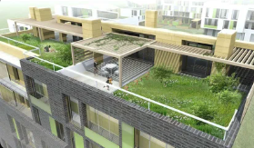 Detailed rooftop planting design on a terrace